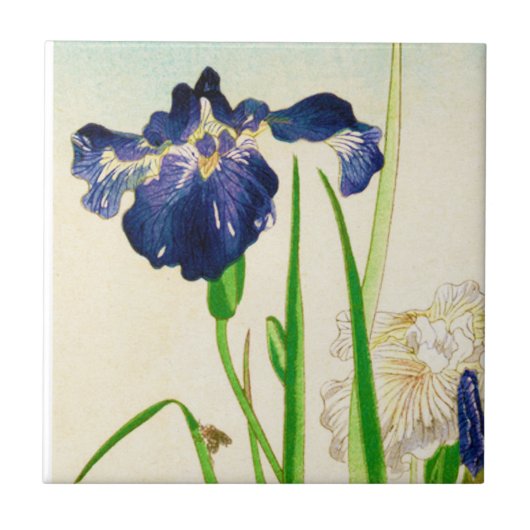 Carreau Iris bleu - copie japonaise d'aquarelle (Devant)