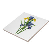 Carreau Iris bleu et jaune par Redoute (Côté)