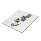 Carreau Iris bleus tirés de la nature par Gerard van Spaen (Côté)