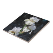 Carreau Iris de floraison blanc (Côté)