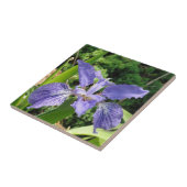 Carreau Iris de jardin, bleu, tuile 4,25 (Côté)
