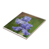 Carreau Iris Délice (Côté)