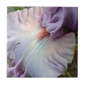 Carreau Iris Floral Barbu Violet Clair (Devant)