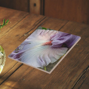Carreau Iris Floral Barbu Violet Clair