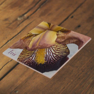 Carreau Iris floral sans barbe jaune et violet
