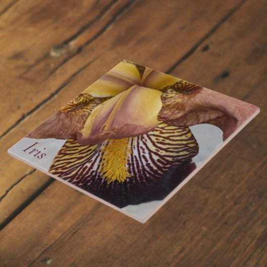 Carreau Iris floral sans barbe jaune et violet