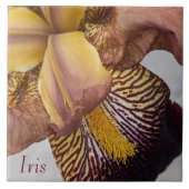 Carreau Iris floral sans barbe jaune et violet (Devant)