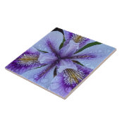 Carreau Iris floral sans barbe violet (Côté)