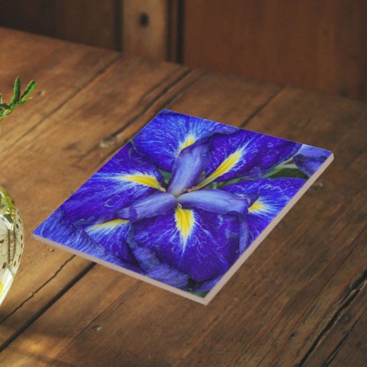 Carreau Iris Japonais Floral Pourpre