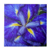 Carreau Iris Japonais Floral Pourpre (Devant)