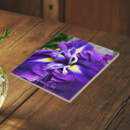 Carreau Iris Japonais Pourpre Fleur Floral