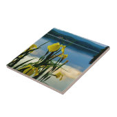 Carreau Iris jaune à Lake Shore (Côté)