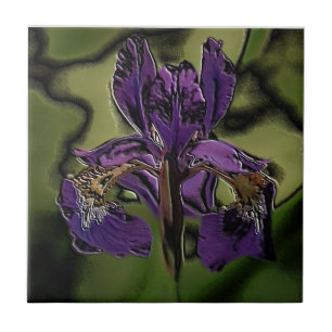 Carreau Iris pourpre
