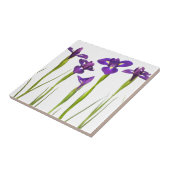 Carreau Iris pourpres d'isolement sur un arrière - plan (Côté)