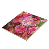 Carreau Iris rose orange (Côté)