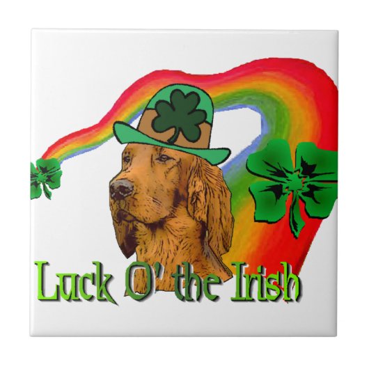Carreau Irish Setter St patrick (Devant)
