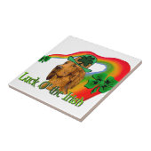 Carreau Irish Setter St patrick (Côté)