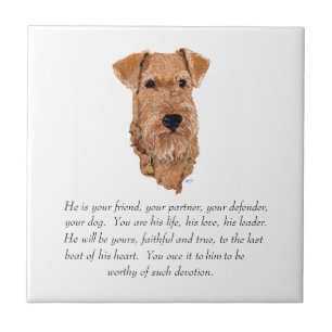 Carreau Irlandais Terrier Keepsake