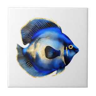 Carreau Island reef Gold bleu hippo tang poisson plage mer