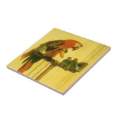 Carreau Islay, Tilco, un Ara et des Inséparables par Lands (Côté)