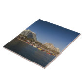 Carreau Israël, le Néguev, Eilat, le bord de mer Rouge (Côté)