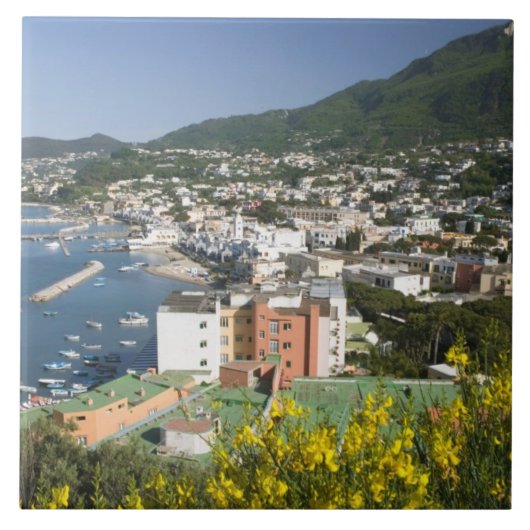 Carreau ITALIE, Campanie, (Baie de Naples), ISCHIE, LACCO (Devant)