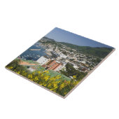 Carreau ITALIE, Campanie, (Baie de Naples), ISCHIE, LACCO (Côté)