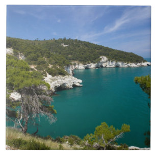 Carreau Italie, Pouilles, Promontorio del Gargano, Testa