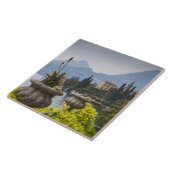 Carreau Italie, province de Lecco, Varenna. Villa Monaster (Côté)