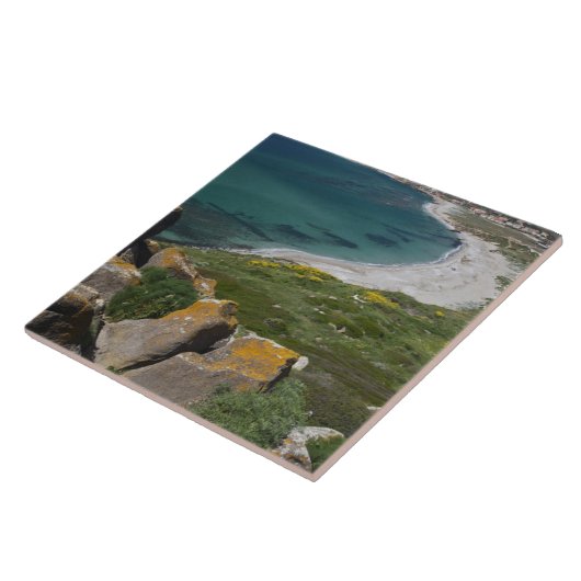 Carreau Italie, Sardaigne, Tharros. Vue depuis l'espagnol (Côté)