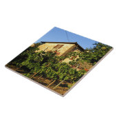 Carreau Italie, Toscane, Greve. Scènes de vin fin été (Côté)