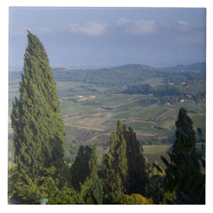 Carreau Italie, Toscane, Montepulciano. Vue de