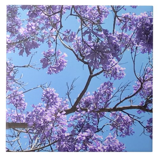 Carreau Jacaranda Blossoms (Devant)