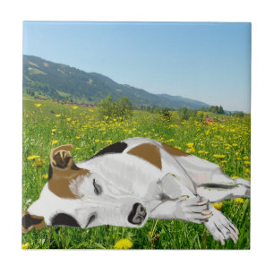 Carreau Jack Russell couché dans une fleur colorée Meadow