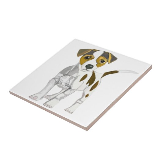 Carreau Jack Russell Terrier (Côté)