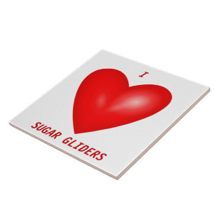 Carreau J'adore les Sugar Gliders Cœur Rouge Amoureux des