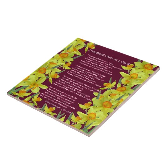 CARREAU J'AI ERRÉ SEUL COMME NUAGE (Côté)