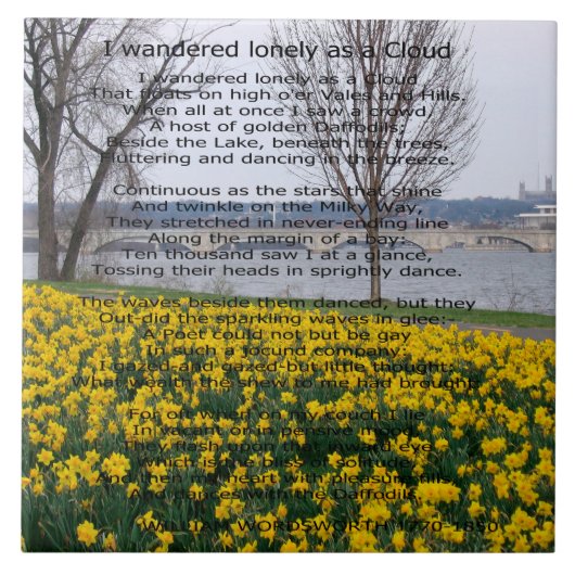 CARREAU J'AI ERRÉ SEUL COMME NUAGE (Devant)