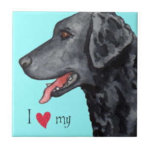 Carreau J'aime mon chien d'arrêt Bouclé-Enduit