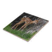 Carreau Jambes agitées (Côté)