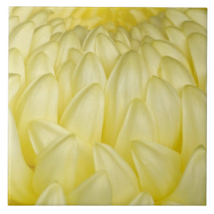 Carreau Japon, Mie, sanctuaire d'Ise, chrysanthème