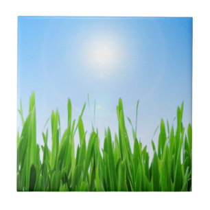 Carreau Jardin à l'herbe verte avec conception de ciel ble