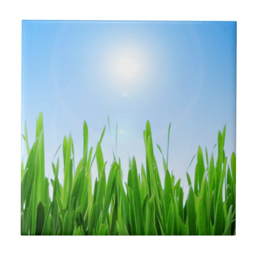 Carreau Jardin à l'herbe verte avec conception de ciel ble (Devant)