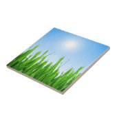 Carreau Jardin à l'herbe verte avec conception de ciel ble (Côté)