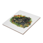 Carreau Jardin aux chiots (Côté)