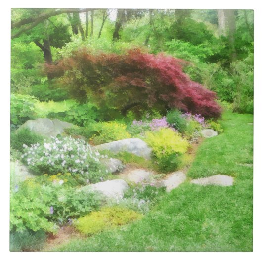 Carreau Jardin avec érable japonais (Devant)