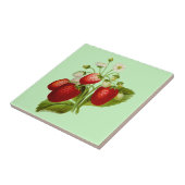 Carreau Jardin Botanique Fraise (Côté)