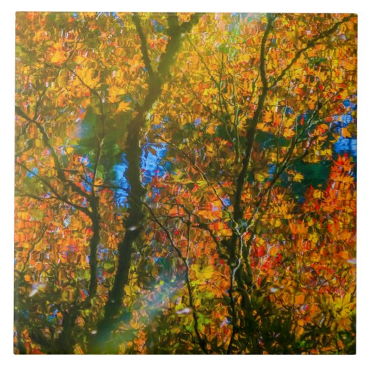 Carreau Jardin botanique VanDusen Vancouver, Canada (Devant)