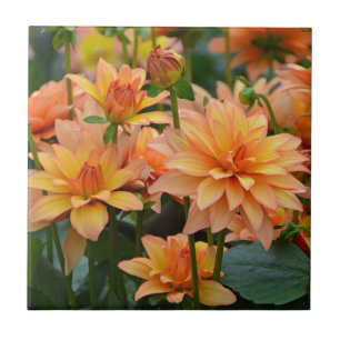 Carreau Jardin d'agrément orange de dahlia