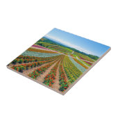 Carreau Jardin d'agrément | Shikisai aucune ferme de fleur (Côté)